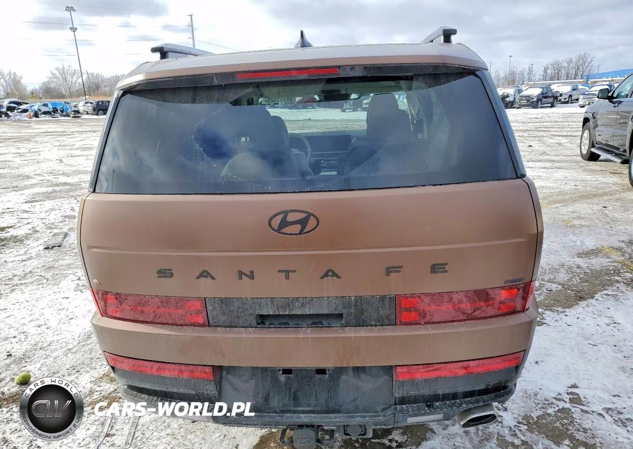 2024 Hyundai Santa Fe Calligraphy VIN:5NMP5DGL1RH062351 - 6