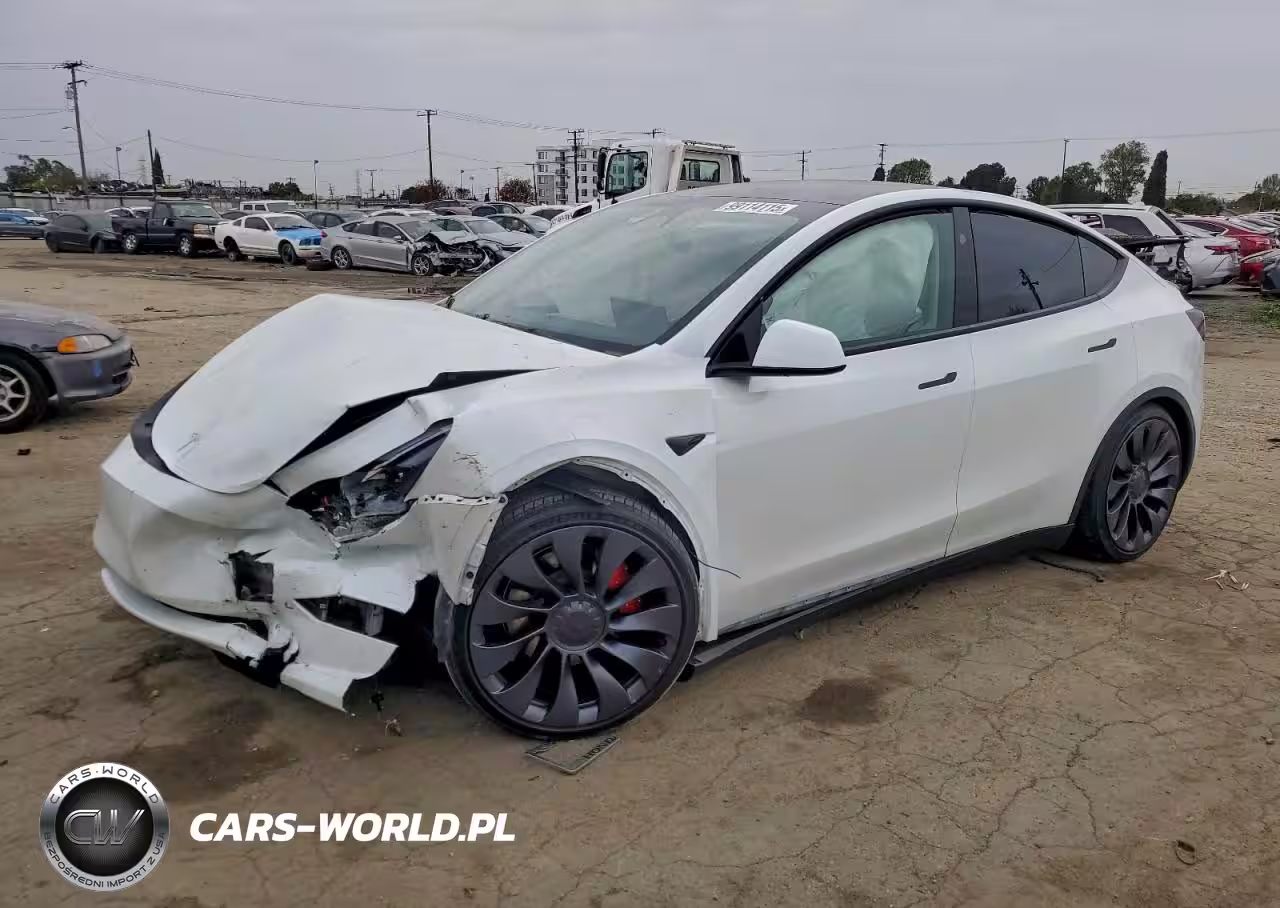 2024 Tesla Model Y