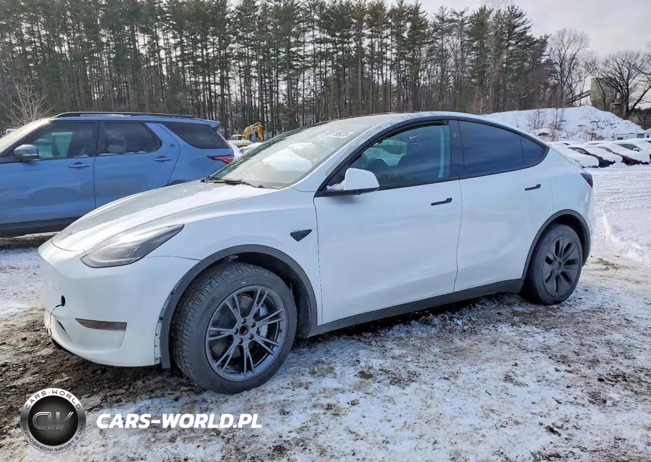 2024 Tesla Model Y