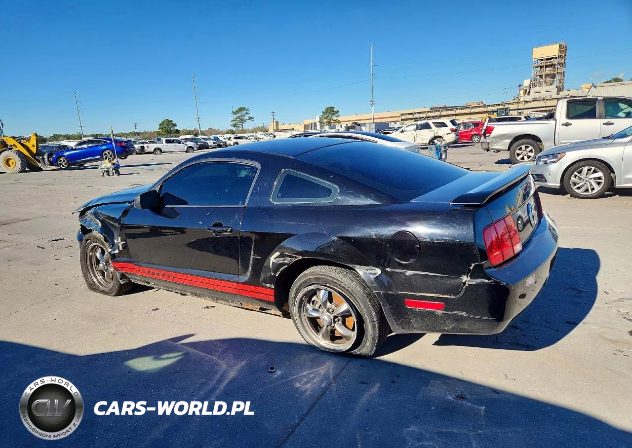 2006 Ford Mustang VIN:1ZVFT80N965157675 - 2