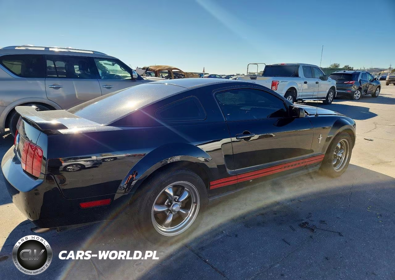 2006 Ford Mustang VIN:1ZVFT80N965157675 - 3