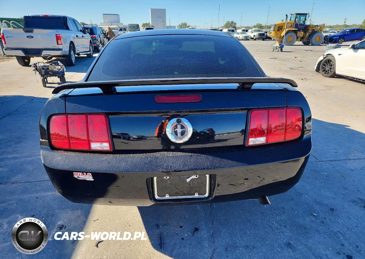 2006 Ford Mustang VIN:1ZVFT80N965157675 - 6