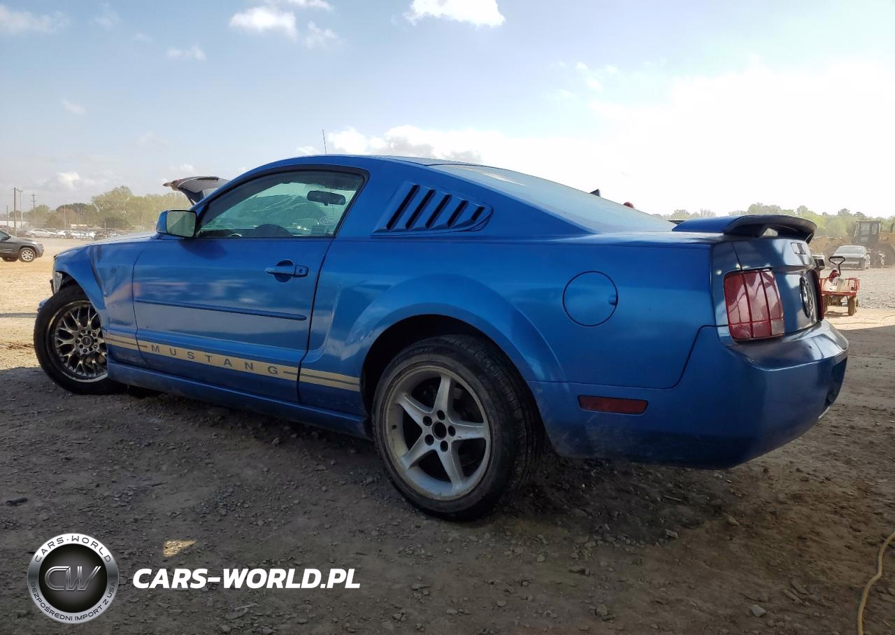 2005 Ford Mustang VIN:1ZVFT80N655154652 - 2