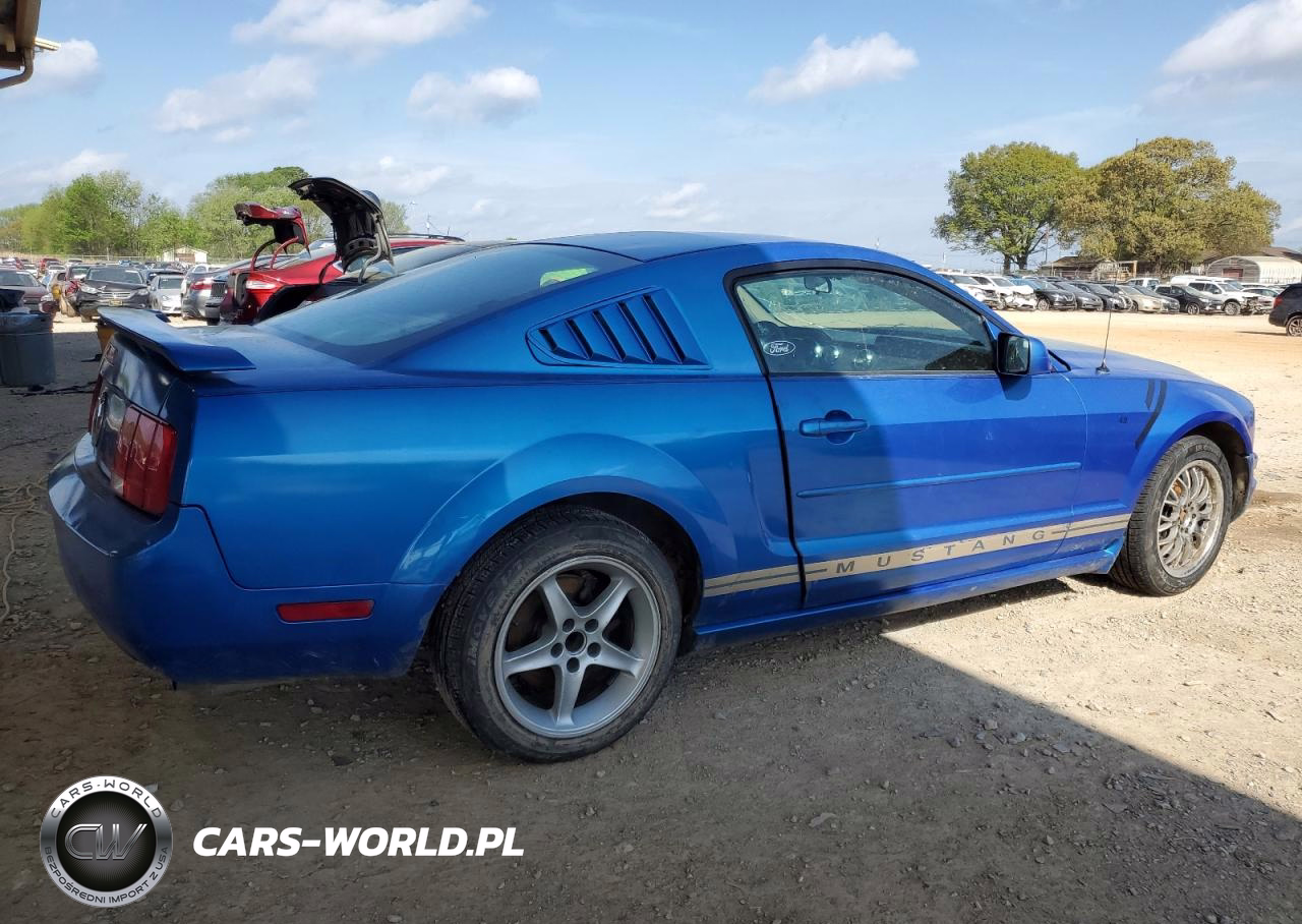 2005 Ford Mustang VIN:1ZVFT80N655154652 - 3