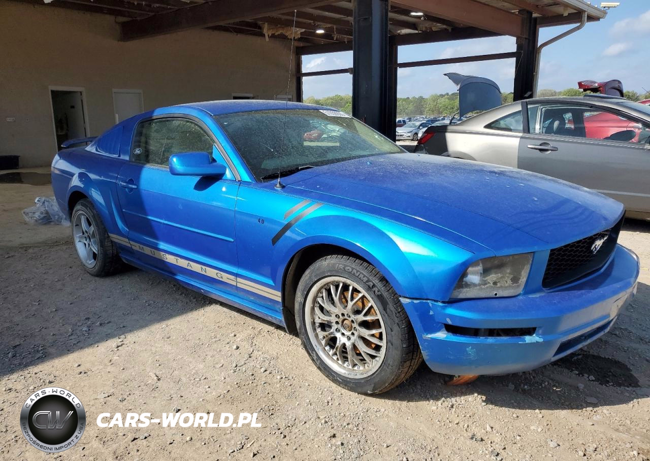 2005 Ford Mustang VIN:1ZVFT80N655154652 - 4