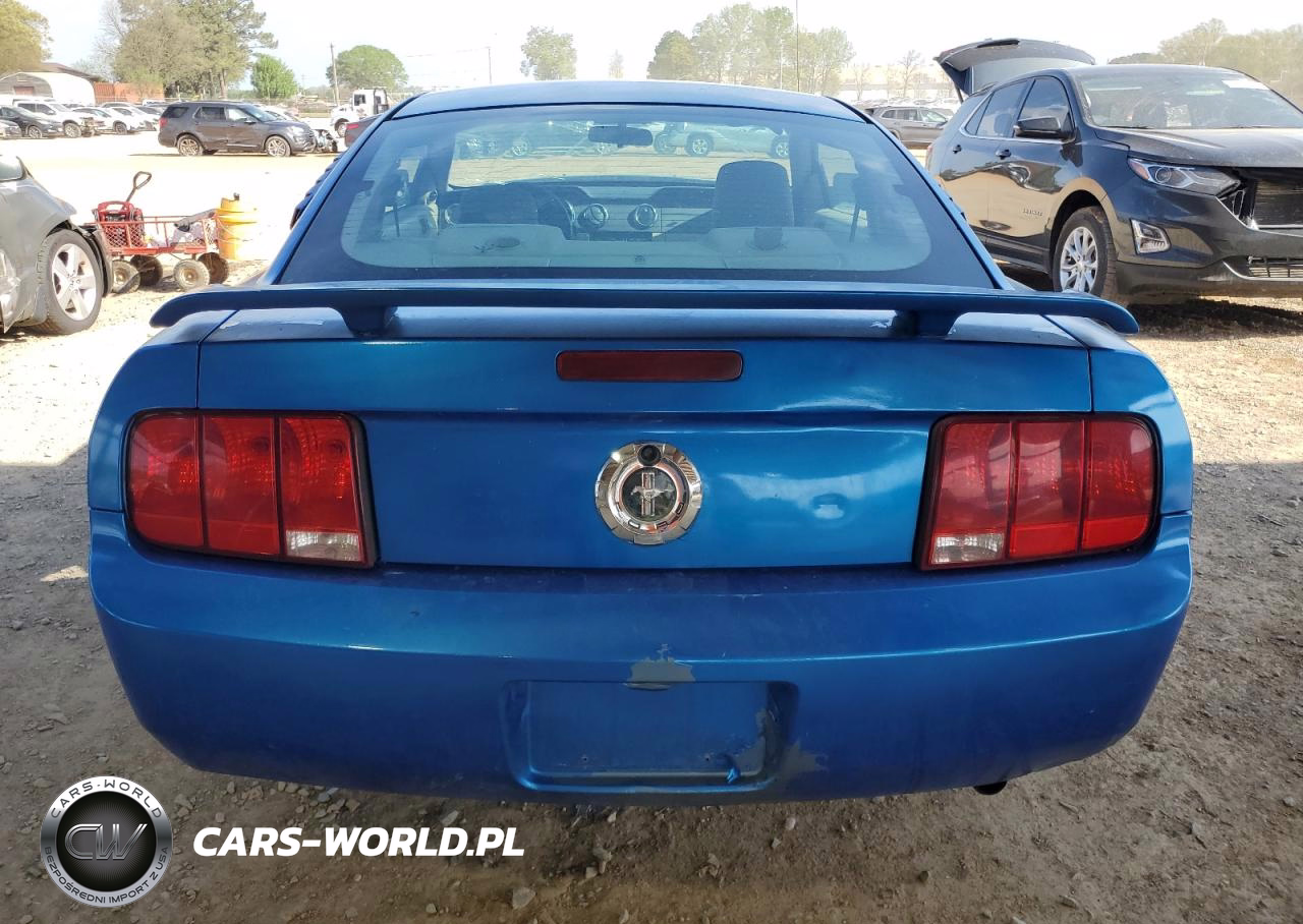 2005 Ford Mustang VIN:1ZVFT80N655154652 - 6