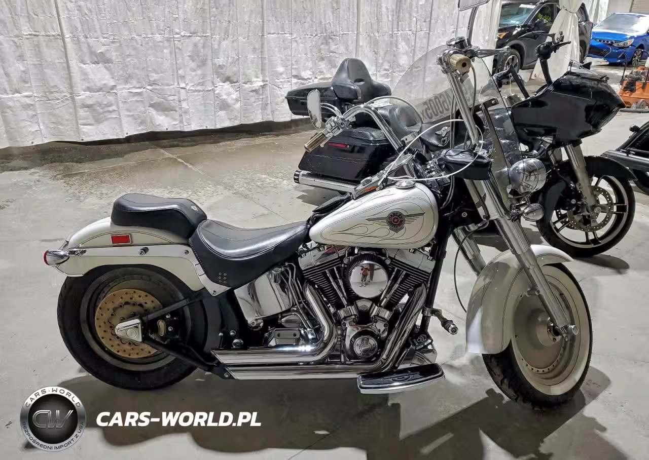 2000 Harley-Davidson Flstf