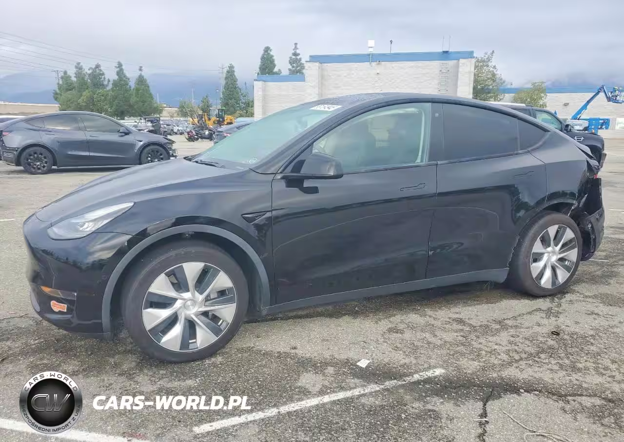 2020 Tesla Model Y