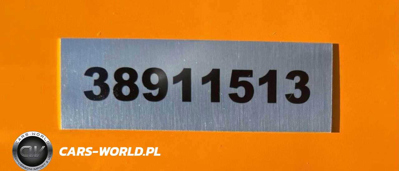 2025 OTHER HEAVY EQUIPMENT EXCAVATOR VIN:38911513 - 9