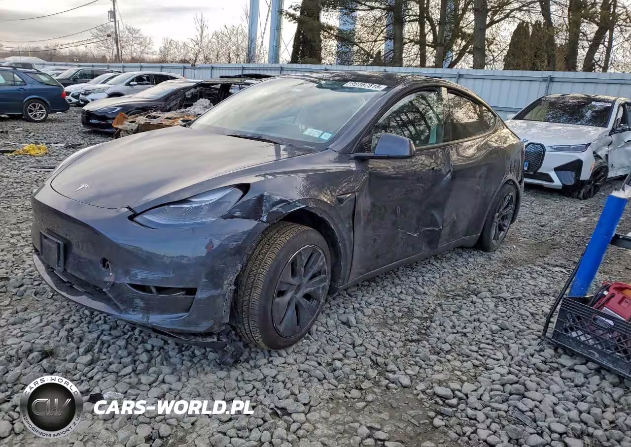 2025 Tesla Model Y