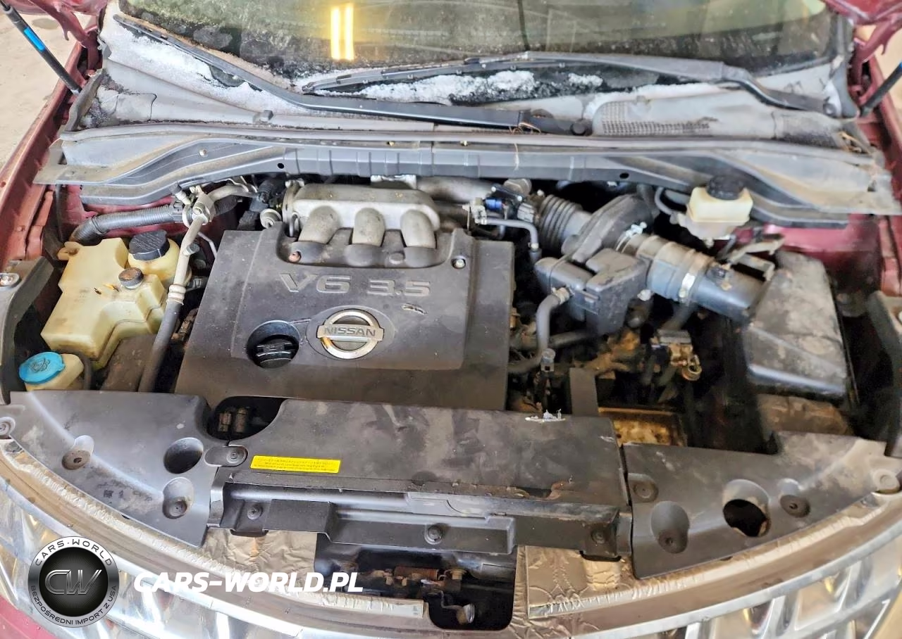 2006 Nissan Murano VIN:JN8AZ08T96W407463 - 11