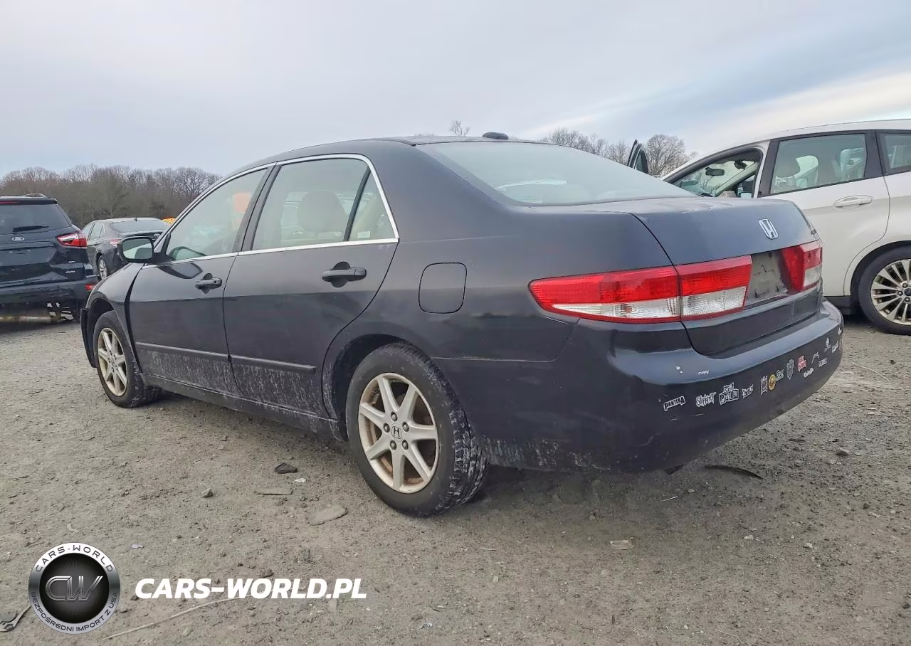 2004 Honda Accord VIN:1HGCM66524A005483 - 2