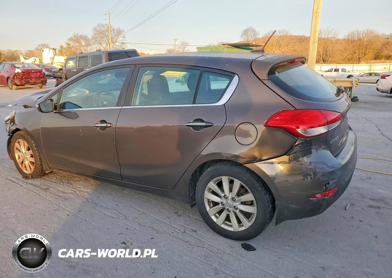 2014 Kia Forte Ex VIN:KNAFX5A83E5232719 - 2