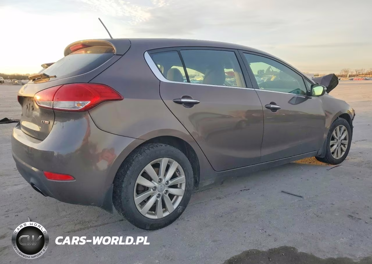 2014 Kia Forte Ex VIN:KNAFX5A83E5232719 - 3