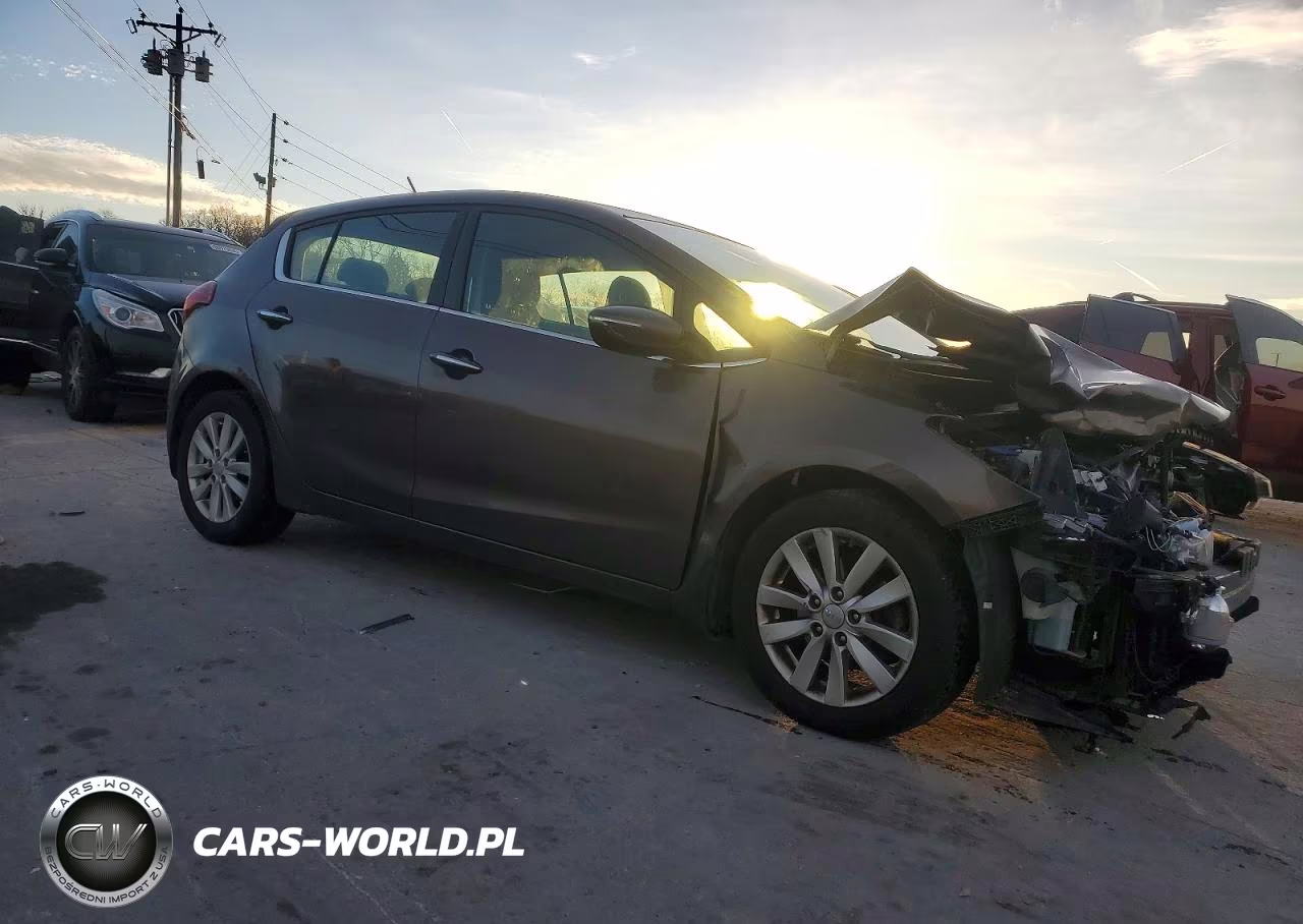 2014 Kia Forte Ex VIN:KNAFX5A83E5232719 - 4
