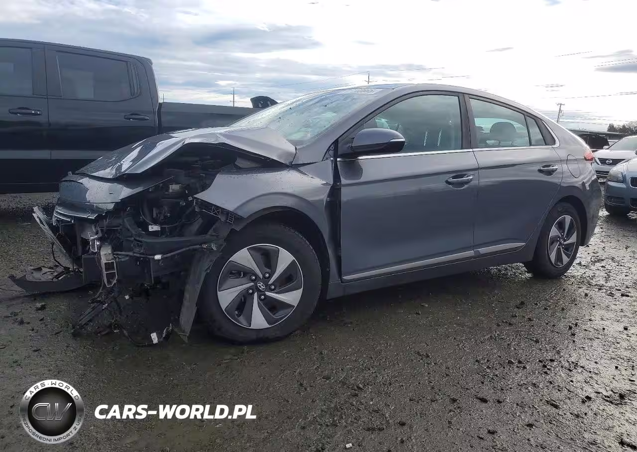 2019 Hyundai Ioniq Sel