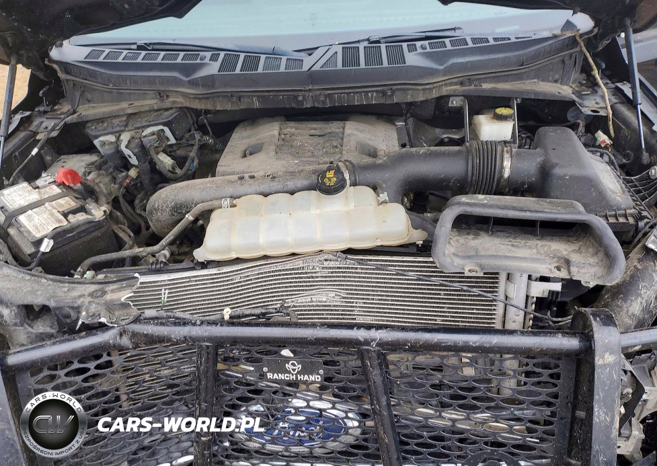 2022 Ford F150 Supercrew VIN:1FTFW1E88NFB99171 - 11