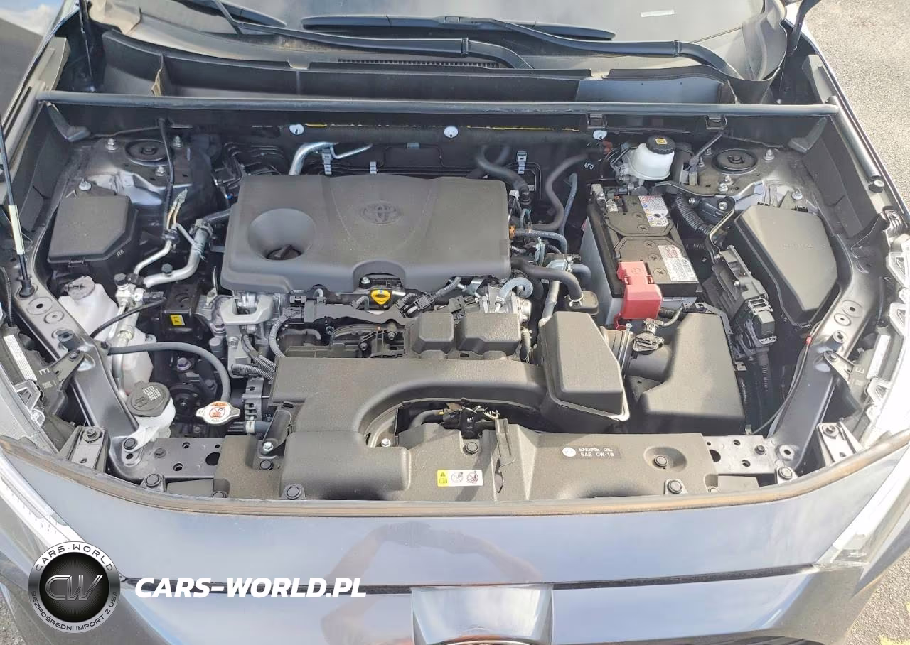 2024 Toyota Rav4 Xle Premium VIN:JTMC1RFV8RD116330 - 12