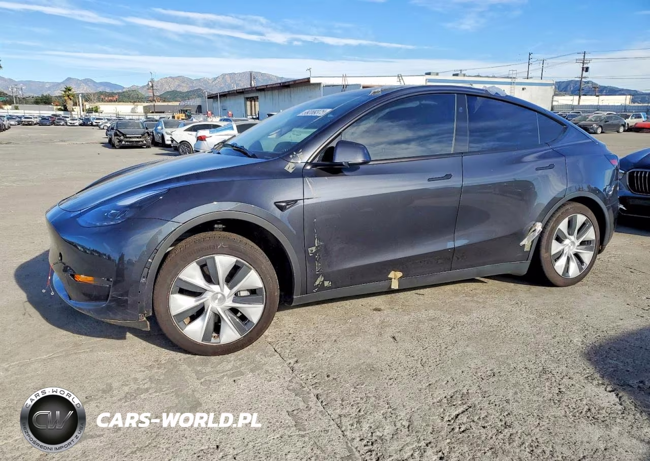 2024 Tesla Model Y