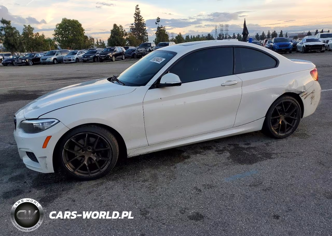 2016 BMW 228 I Sulev