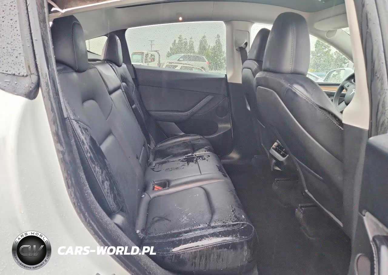 2024 Tesla Model Y VIN:7SAYGDEE8RF165337 - 11