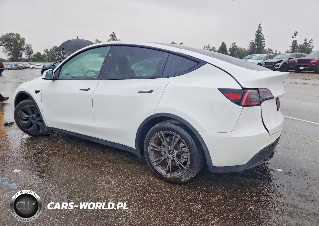 2024 Tesla Model Y VIN:7SAYGDEE8RF165337 - 2