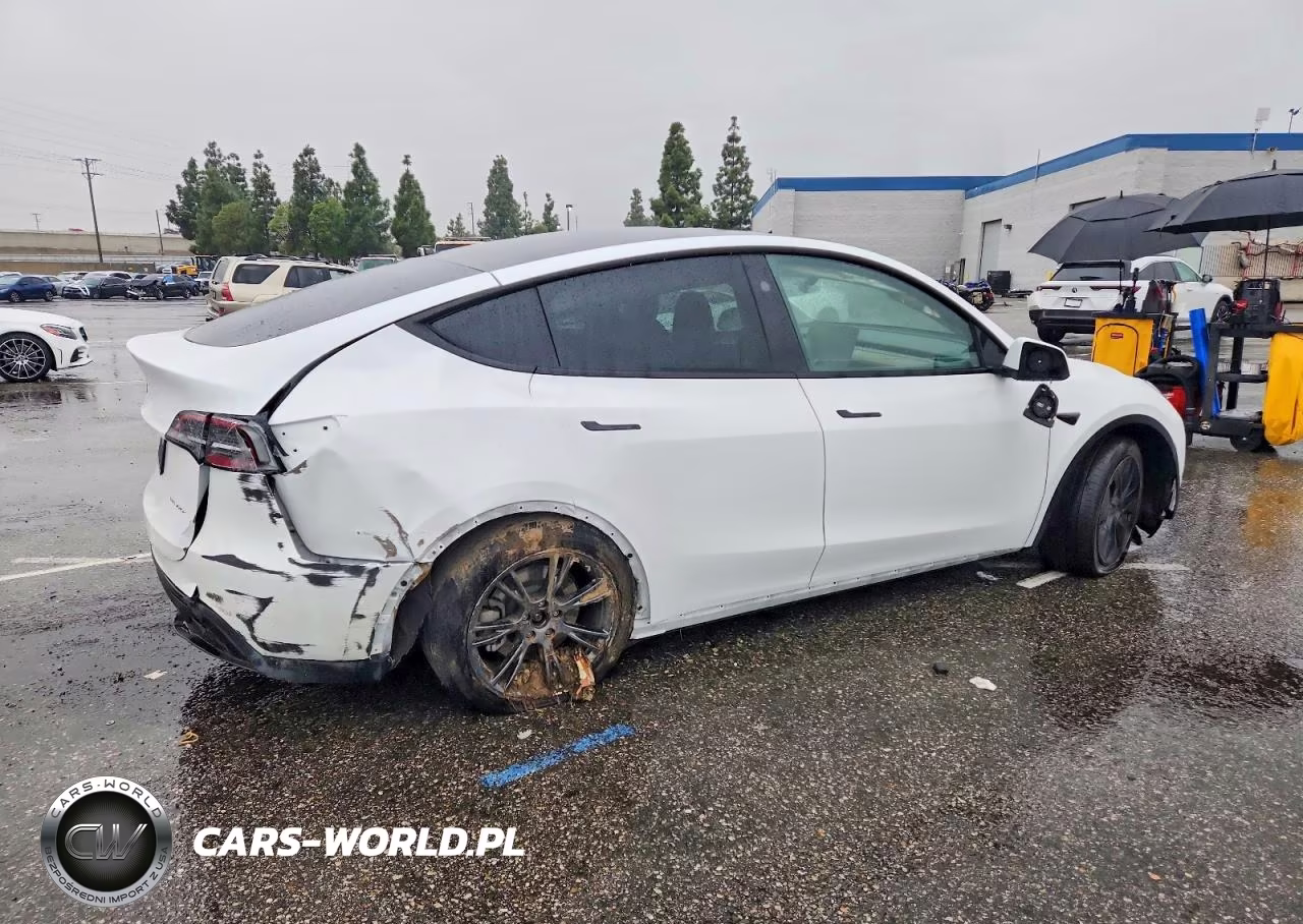 2024 Tesla Model Y VIN:7SAYGDEE8RF165337 - 3