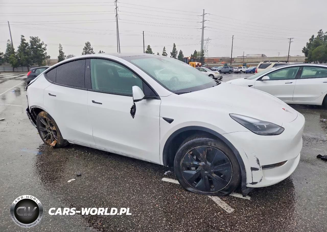 2024 Tesla Model Y VIN:7SAYGDEE8RF165337 - 4