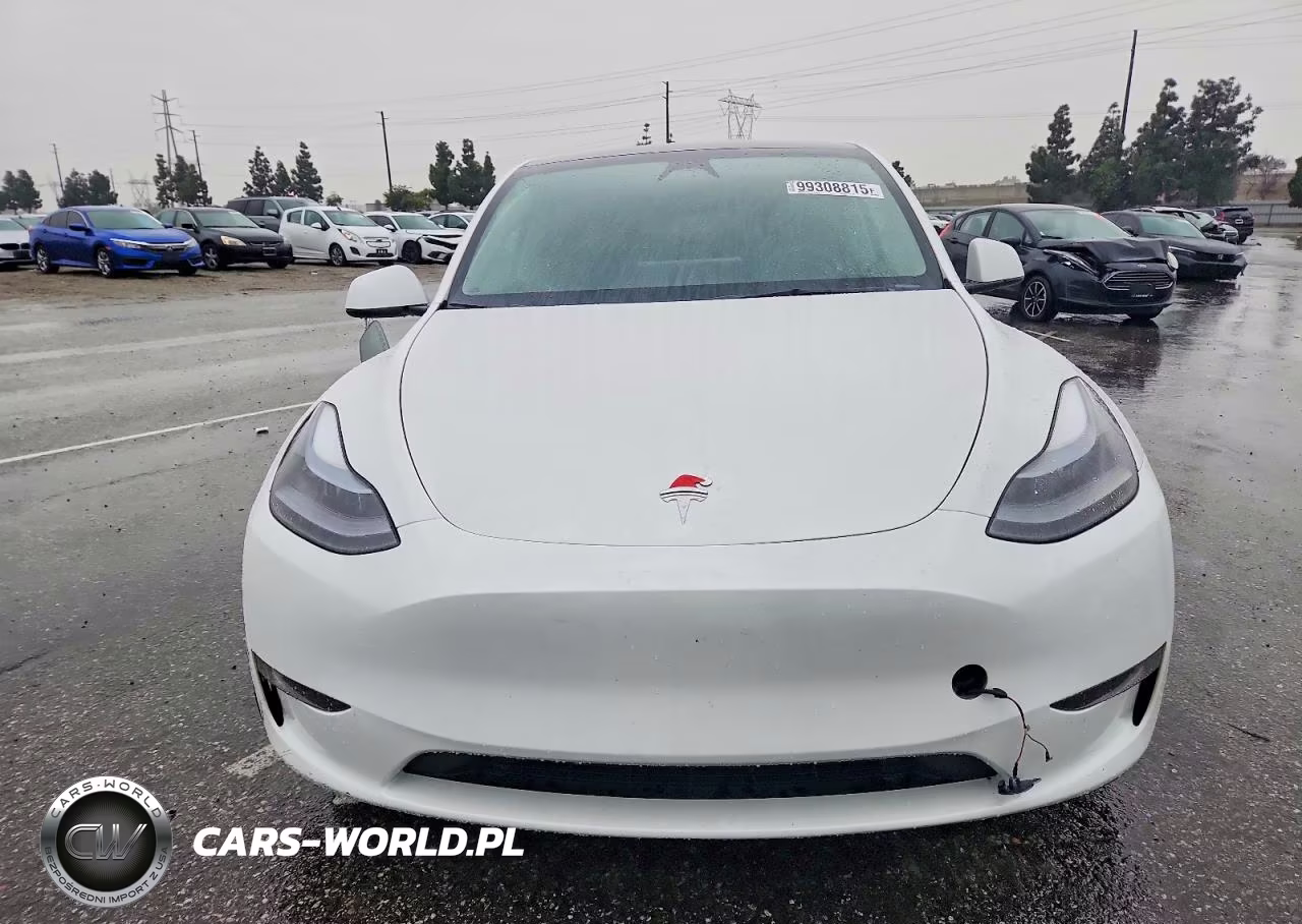 2024 Tesla Model Y VIN:7SAYGDEE8RF165337 - 5