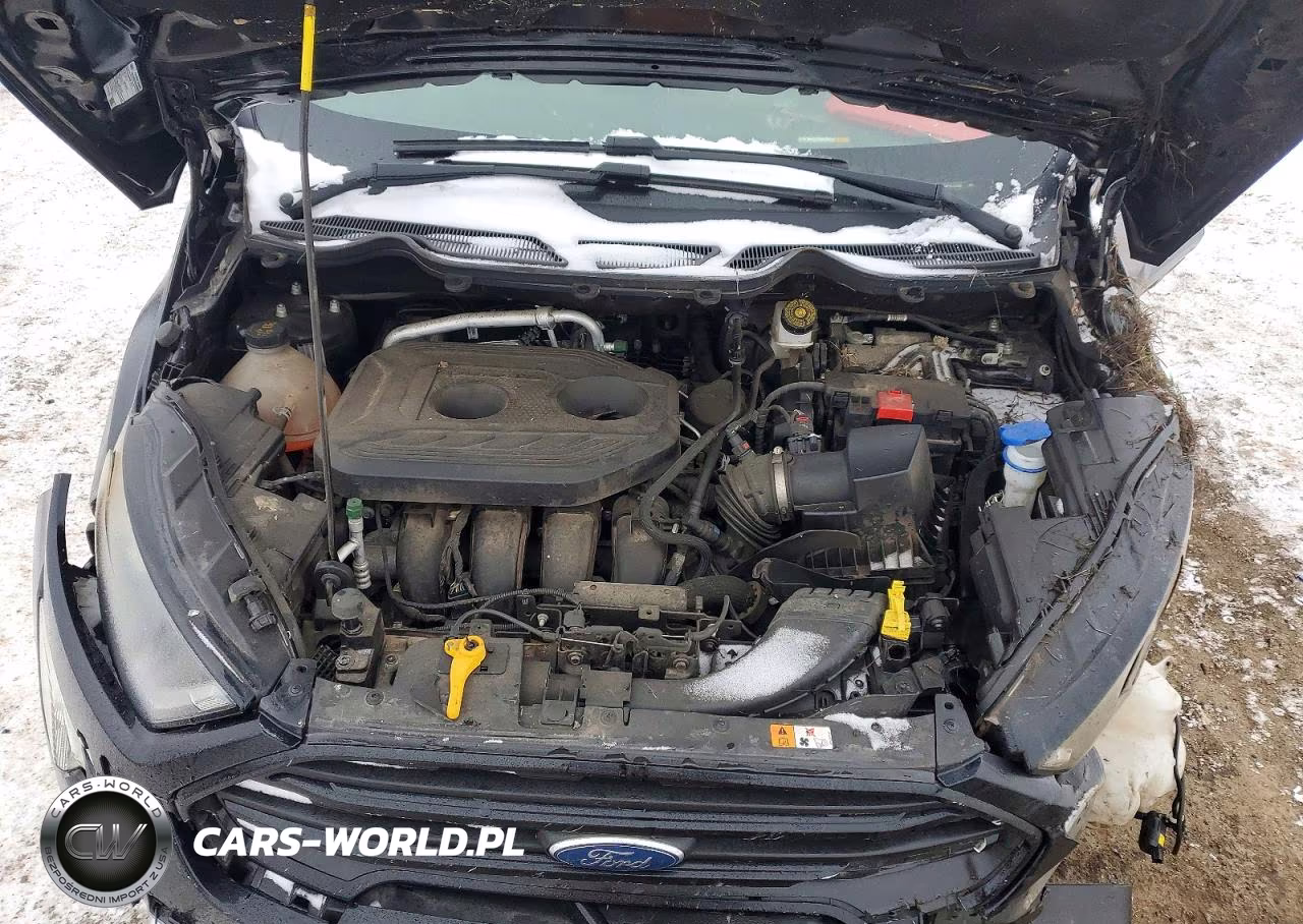 2020 Ford Ecosport Ses VIN:MAJ6S3JL7LC348952 - 12