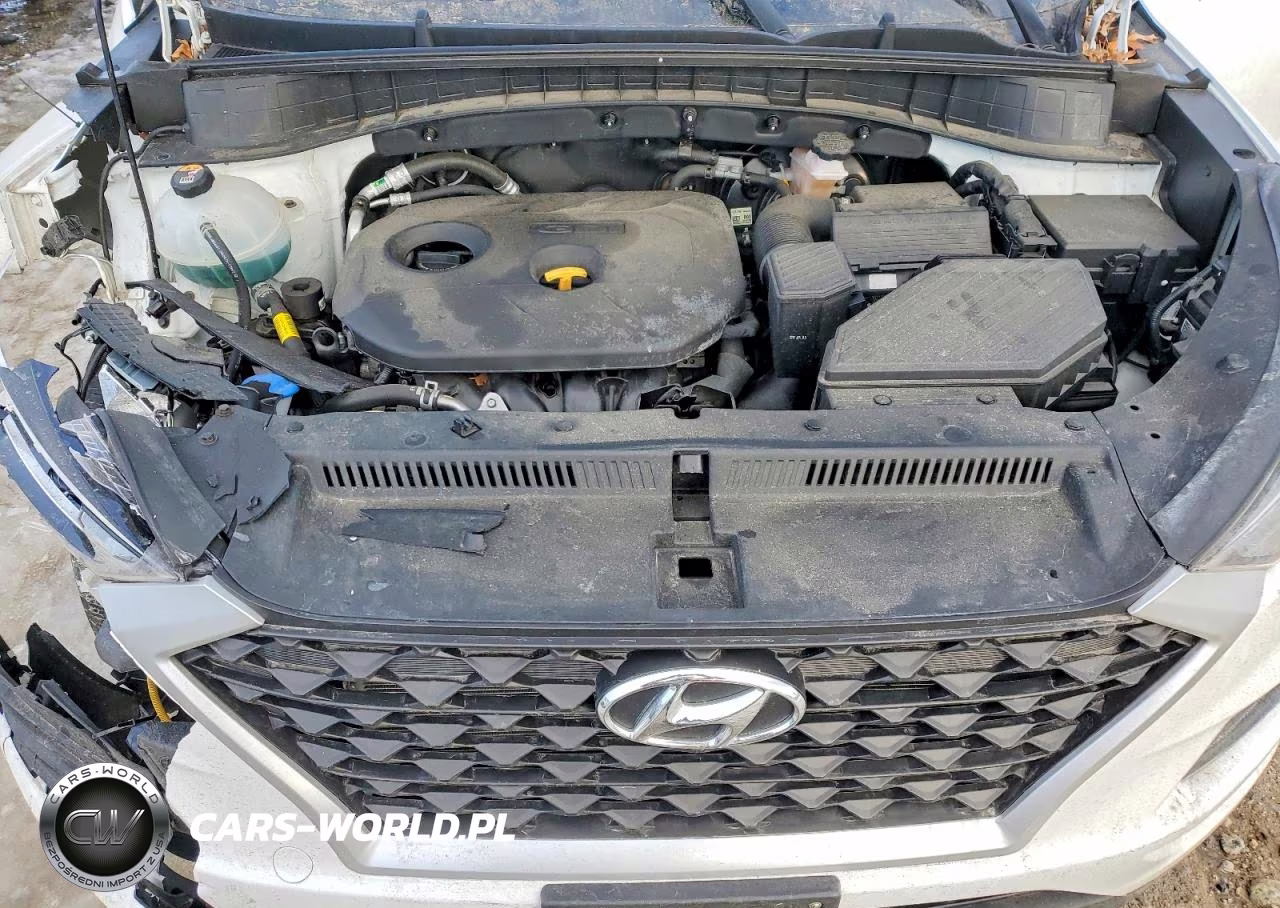 2020 Hyundai Tucson Se VIN:KM8J2CA41LU089622 - 12