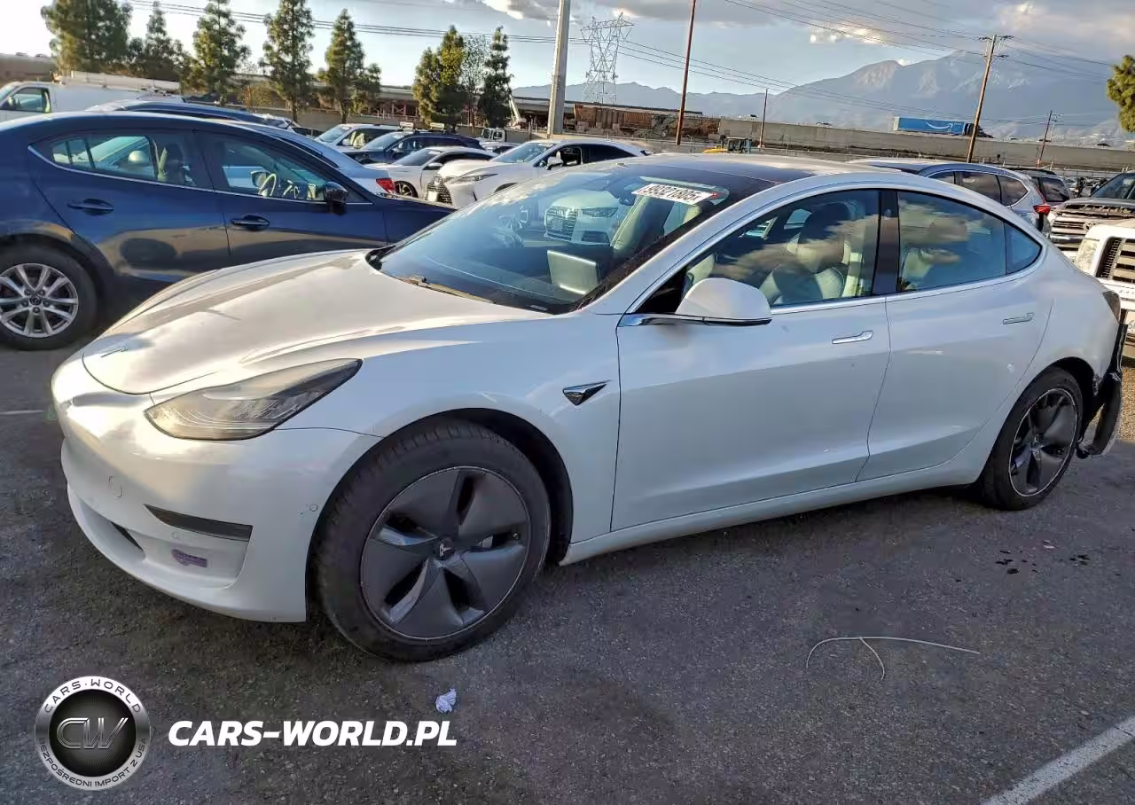 2019 Tesla Model 3