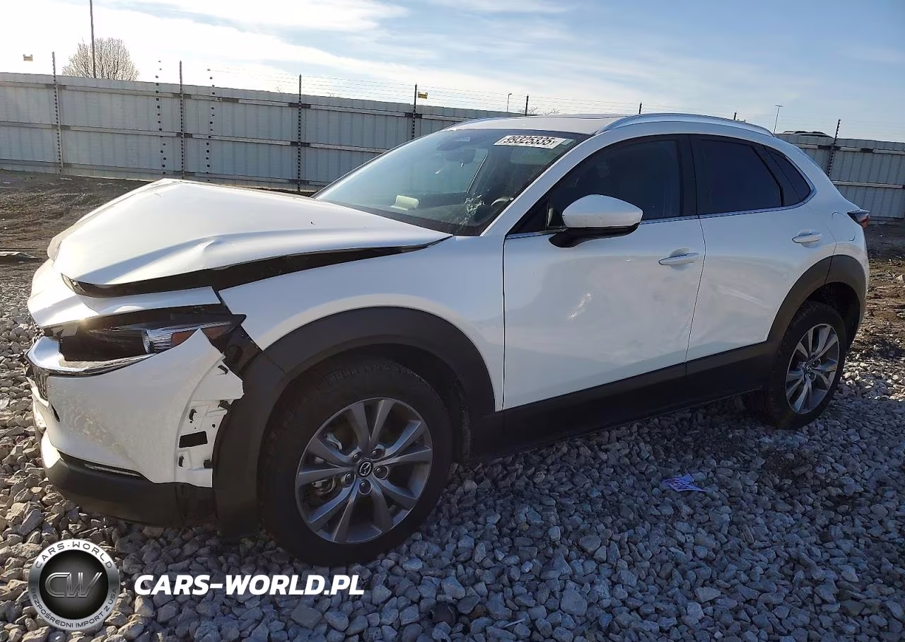 2025 Mazda Cx-30 Preferred VIN:3MVDMBCM7SM783056 - 1