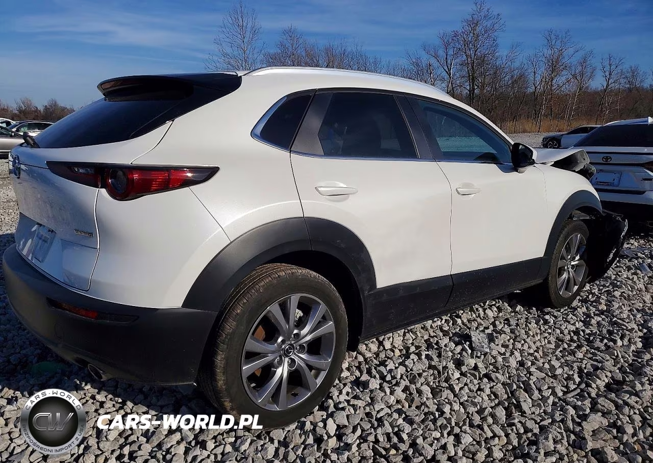 2025 Mazda Cx-30 Preferred VIN:3MVDMBCM7SM783056 - 3