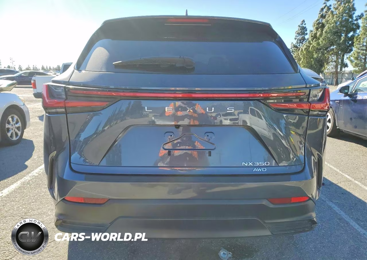 2024 Lexus Nx 350 Base VIN:2T2AGCEZ4RC050522 - 6