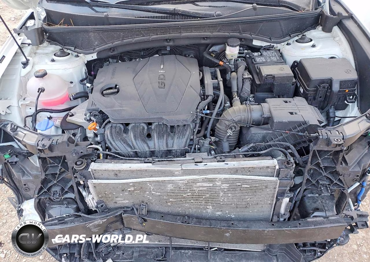 2025 Hyundai Tucson Xrt VIN:5NMJFCDE4SH499687 - 11