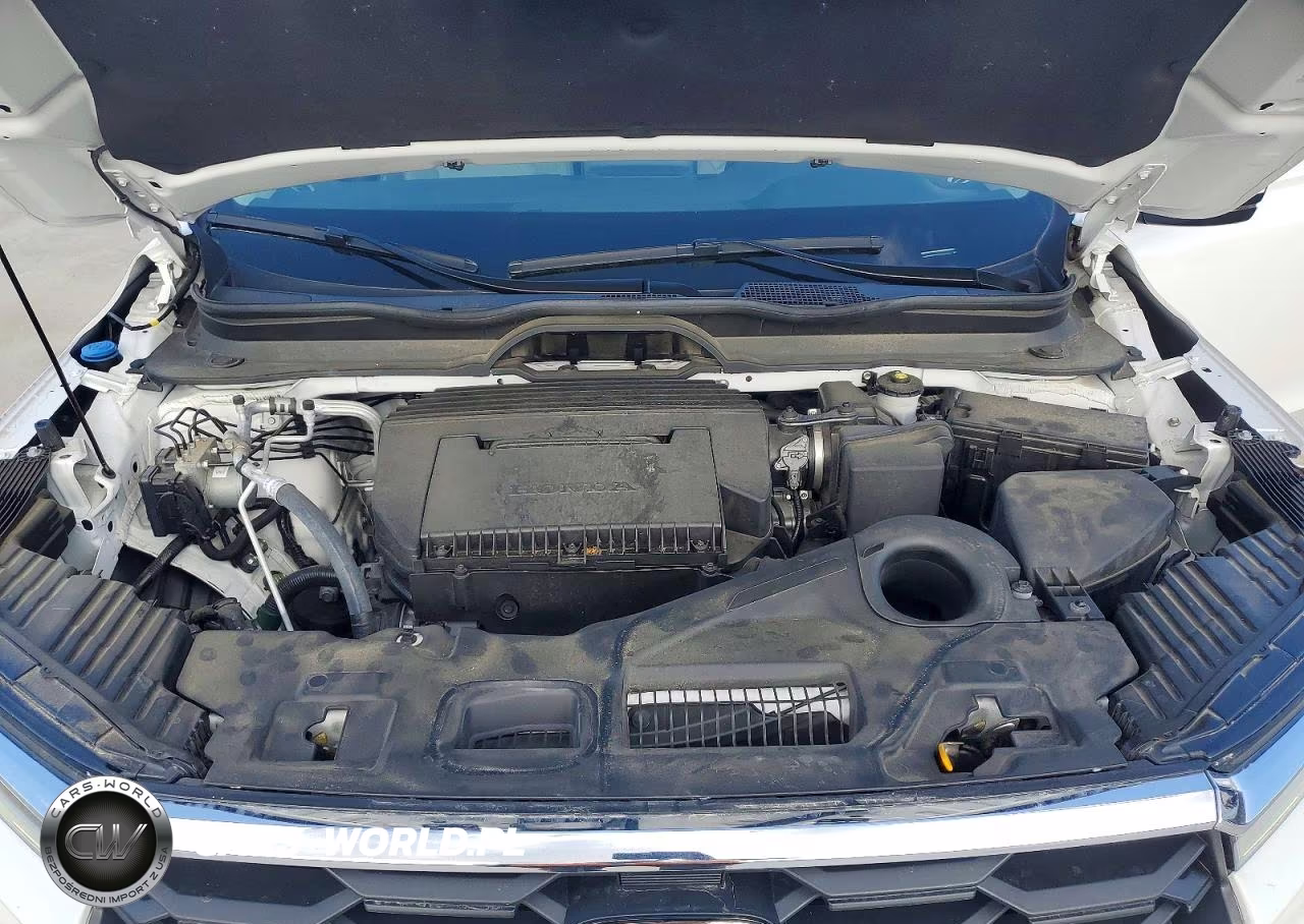 2024 Honda Pilot Exl VIN:5FNYG2H41RB013016 - 12
