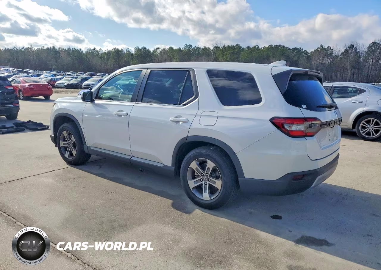 2024 Honda Pilot Exl VIN:5FNYG2H41RB013016 - 2