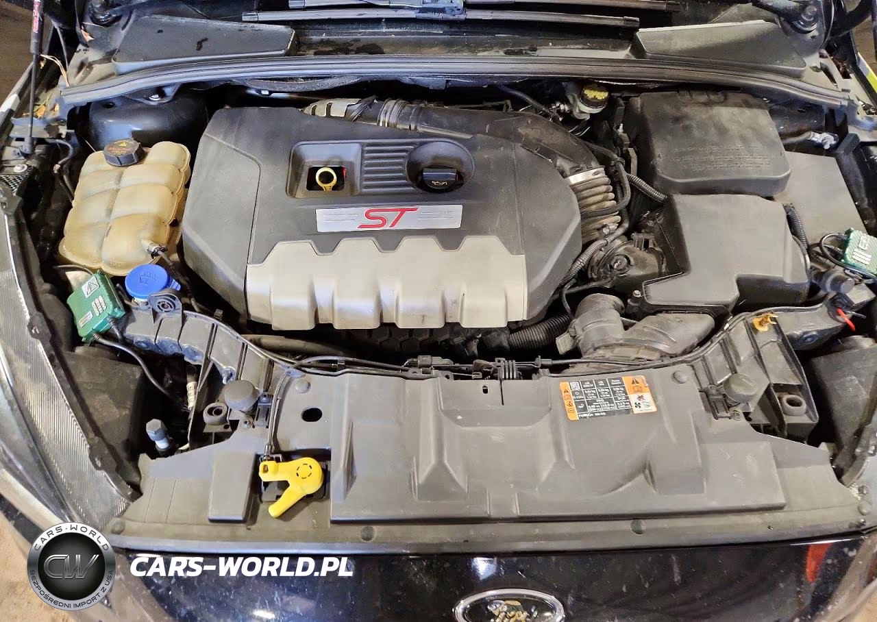 2016 Ford Focus St VIN:1FADP3L9XGL255200 - 11
