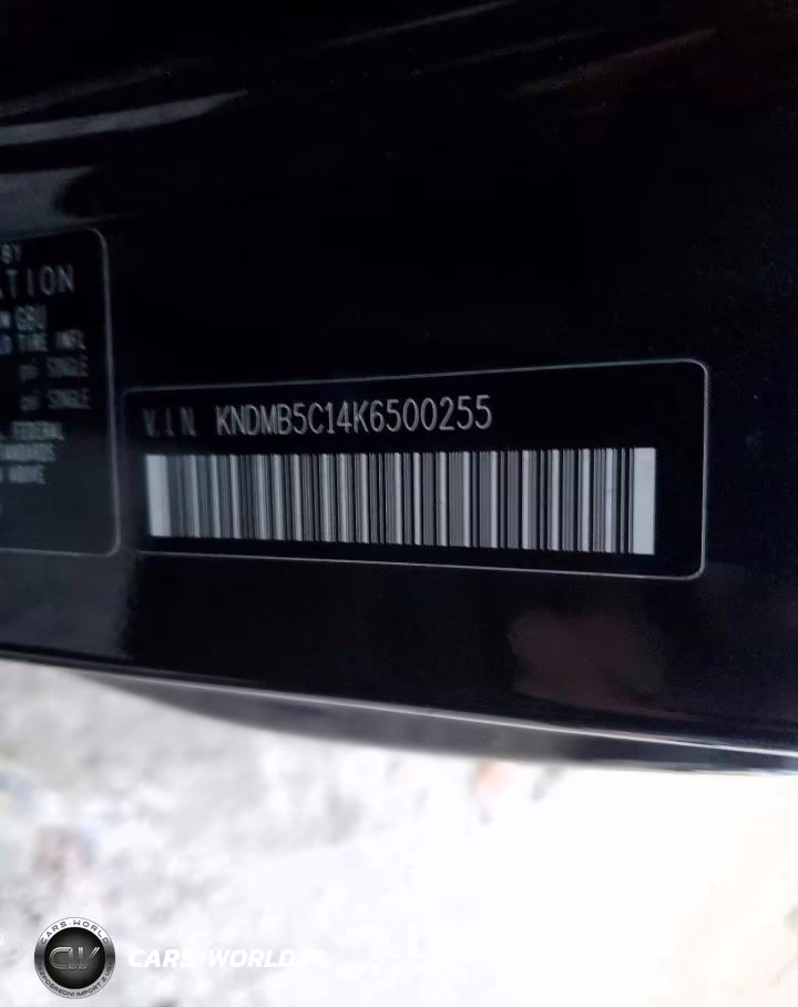 2019 Kia Sedona Ex VIN:KNDMB5C14K6500255 - 13