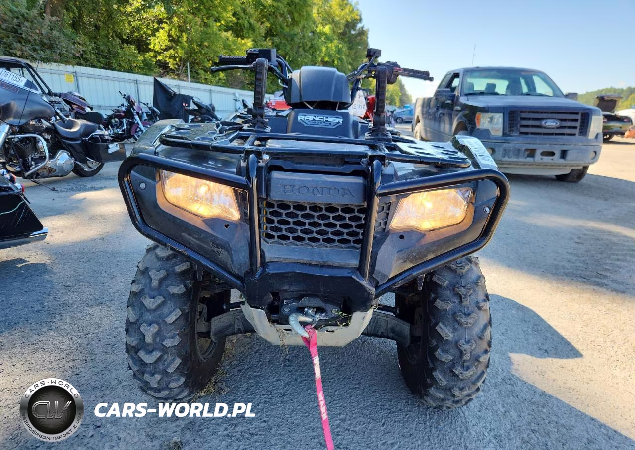 2025 Hond Trx420Fm1 Ft Rnchr 4 VIN:1HFTE4009SJ101398 - 9