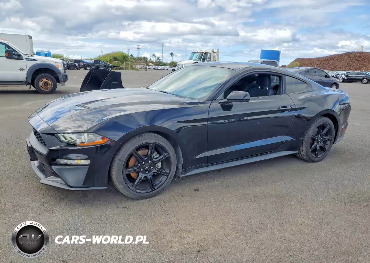 2019 Ford Mustang