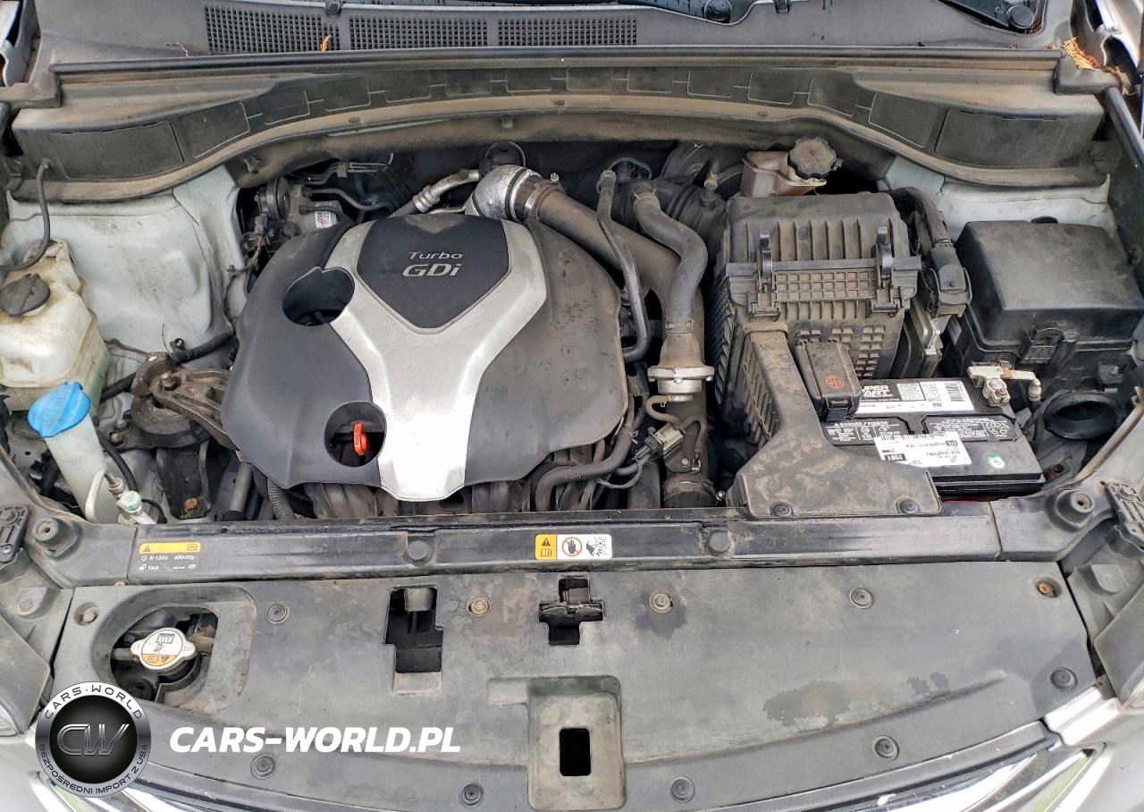 2014 Hyundai Santa Fe VIN:5XYZUDLAXEG224434 - 11
