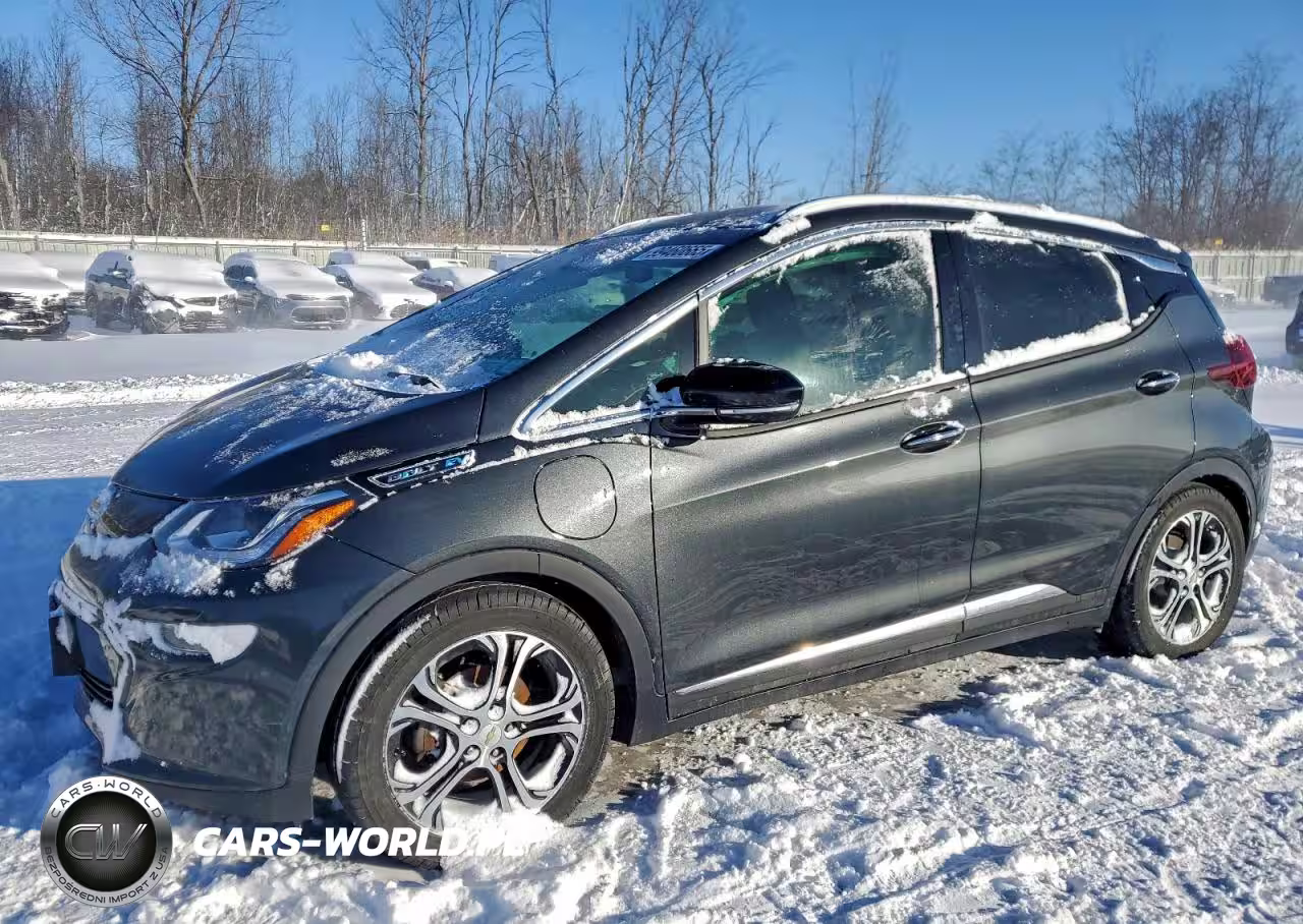 2019 Chevrolet Bolt Ev Premier