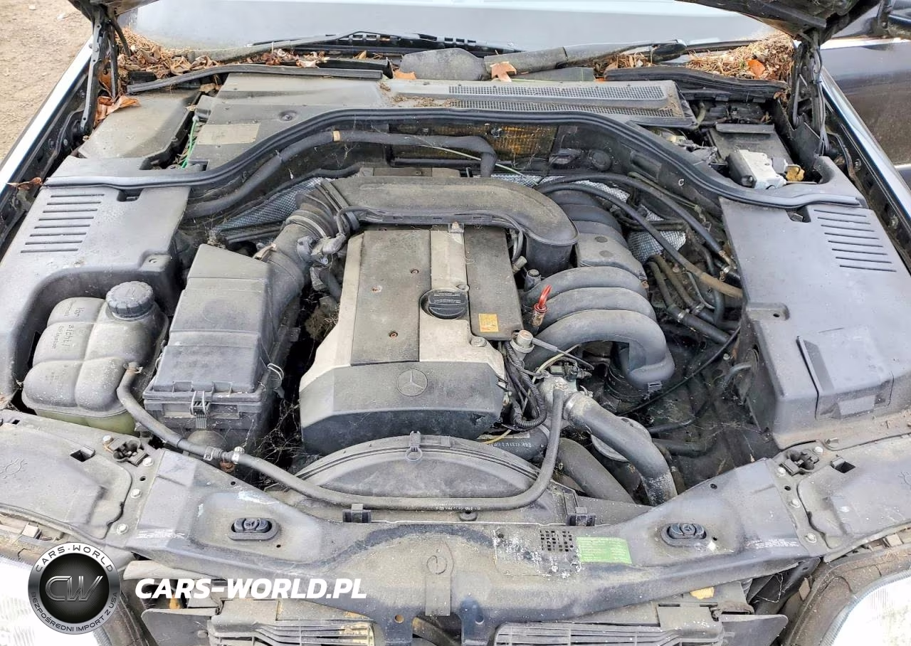 1998 Mercedes-Benz S-Class VIN:WDBGA33G0WA395207 - 11