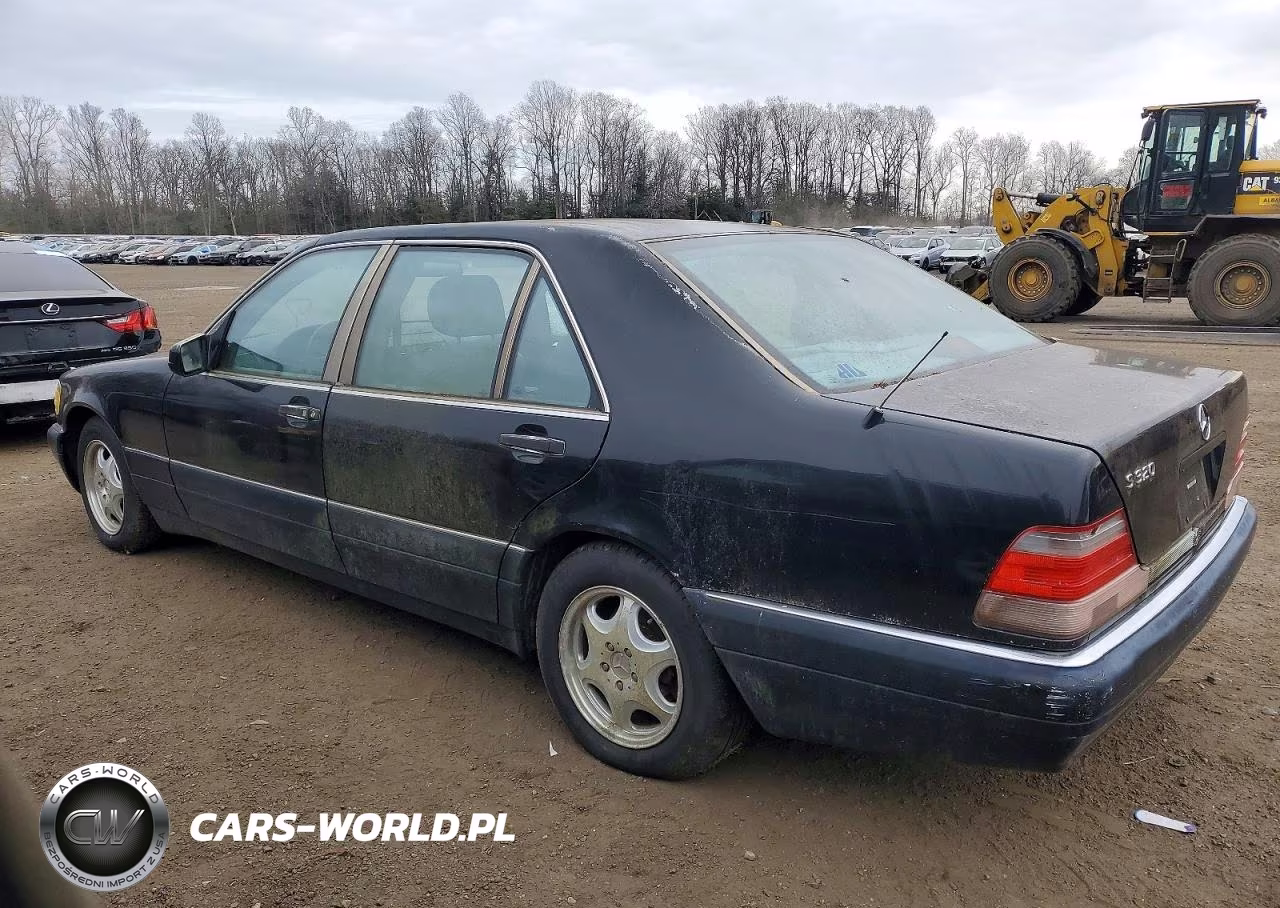 1998 Mercedes-Benz S-Class VIN:WDBGA33G0WA395207 - 2
