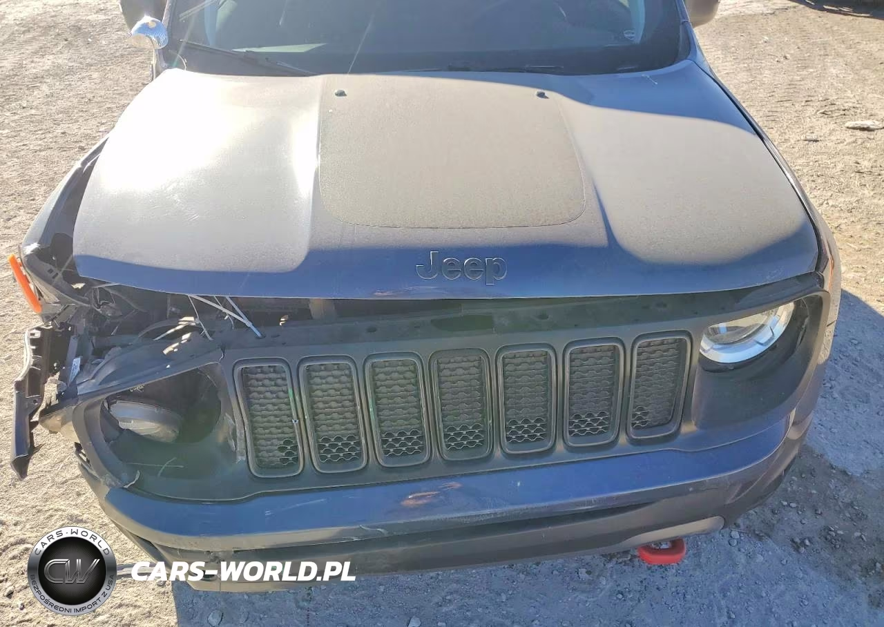 2021 Jeep Renegade Trailhawk VIN:ZACNJDC12MPN18428 - 11