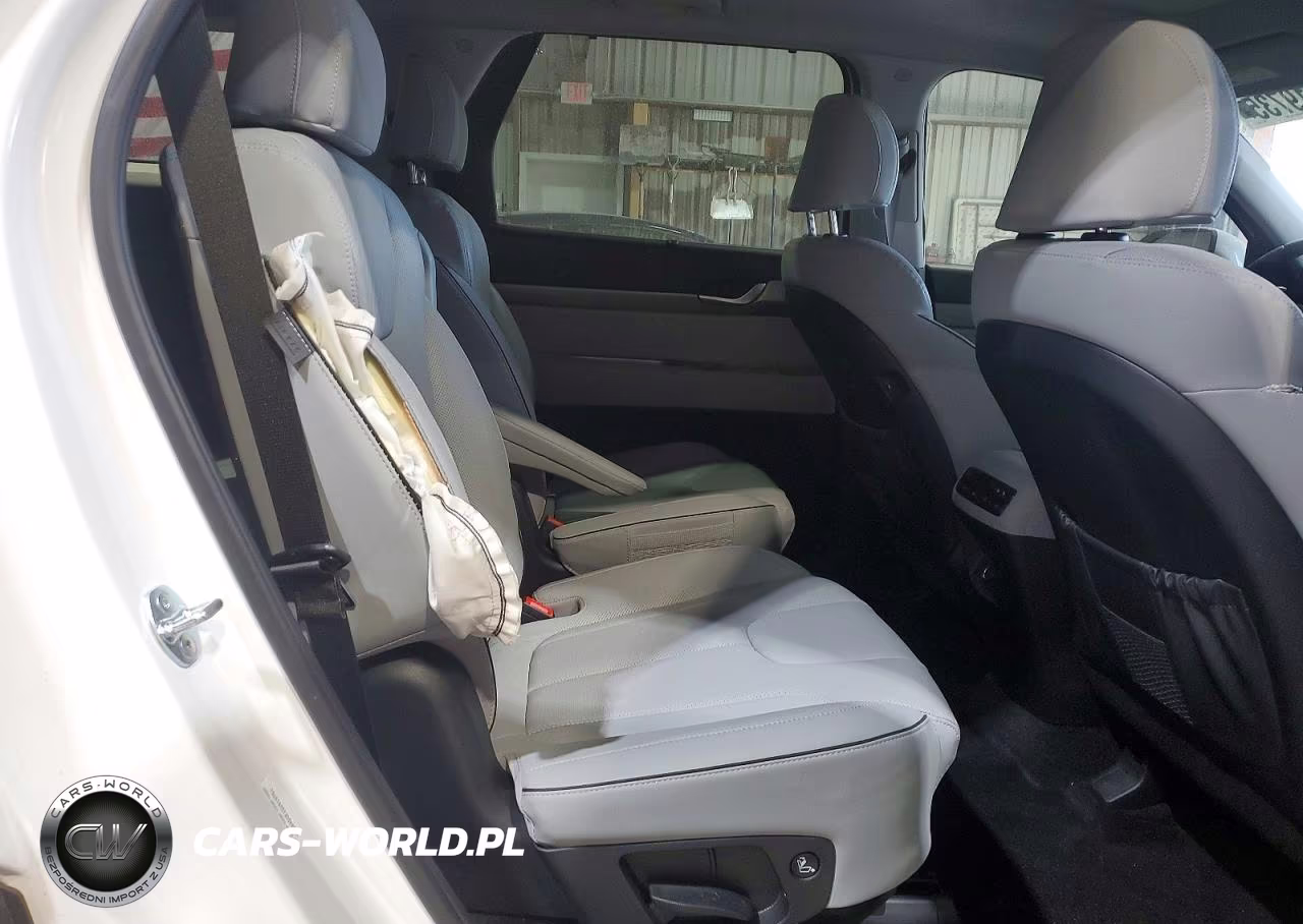2025 Hyundai Palisade Sel Premium VIN:KM8R4DGE1SU919761 - 11