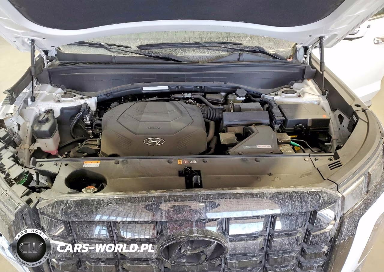 2025 Hyundai Palisade Sel Premium VIN:KM8R4DGE1SU919761 - 12