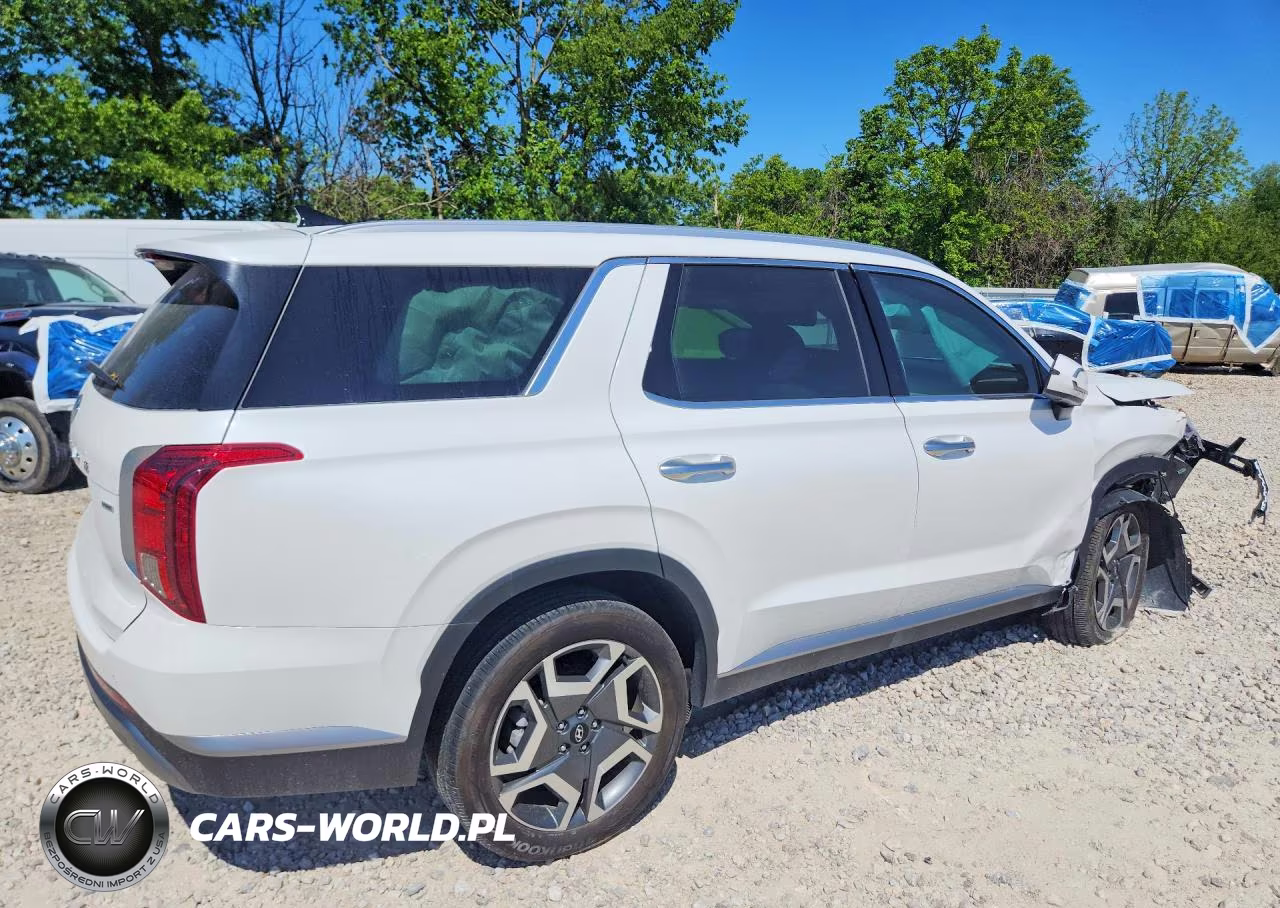 2025 Hyundai Palisade Sel Premium VIN:KM8R4DGE1SU919761 - 3